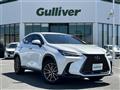 2022 Lexus NX