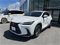 2022 Lexus NX