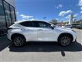 2022 Lexus NX