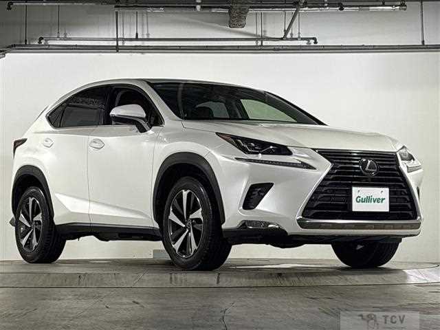2020 Lexus NX