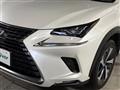 2020 Lexus NX