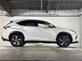 2020 Lexus NX
