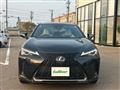 2020 Lexus UX