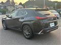 2020 Lexus UX