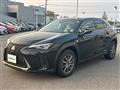 2020 Lexus UX
