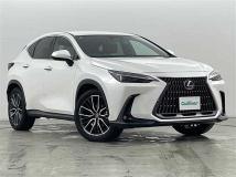 2023 Lexus NX