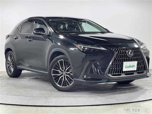 2021 Lexus NX