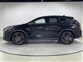 2021 Lexus NX