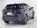 2021 Lexus NX