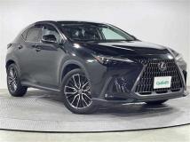 2021 Lexus NX