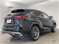 2014 Lexus NX