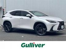 2023 Lexus NX