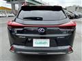 2019 Lexus UX