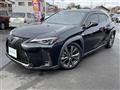 2019 Lexus UX