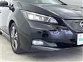 2021 Nissan Leaf