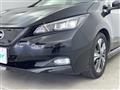 2021 Nissan Leaf
