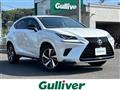 2019 Lexus NX