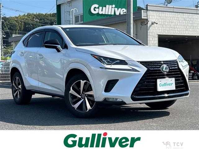 2019 Lexus NX