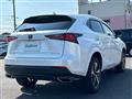 2019 Lexus NX
