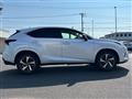 2019 Lexus NX