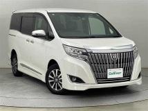 2019 Toyota Esquire