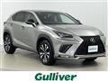 2019 Lexus NX
