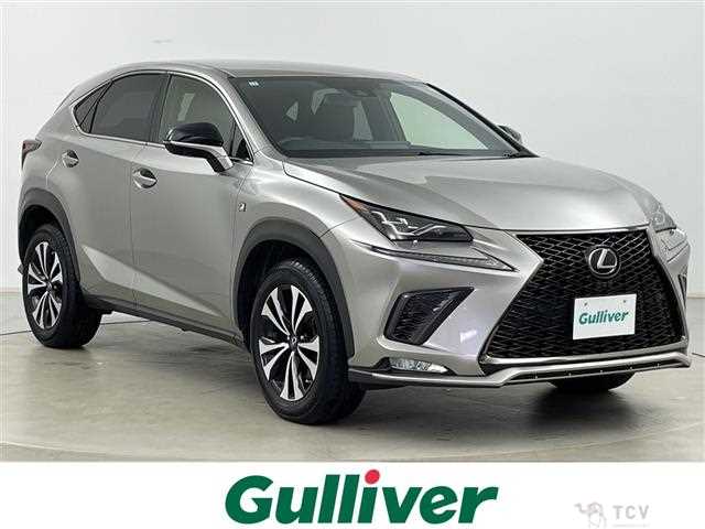 2019 Lexus NX