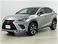 2019 Lexus NX