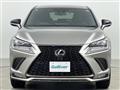 2019 Lexus NX