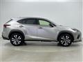 2019 Lexus NX