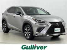 2019 Lexus NX