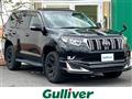 2019 Toyota Land Cruiser Prado