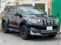 2019 Toyota Land Cruiser Prado