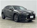 2020 Lexus UX
