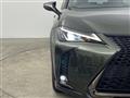 2020 Lexus UX