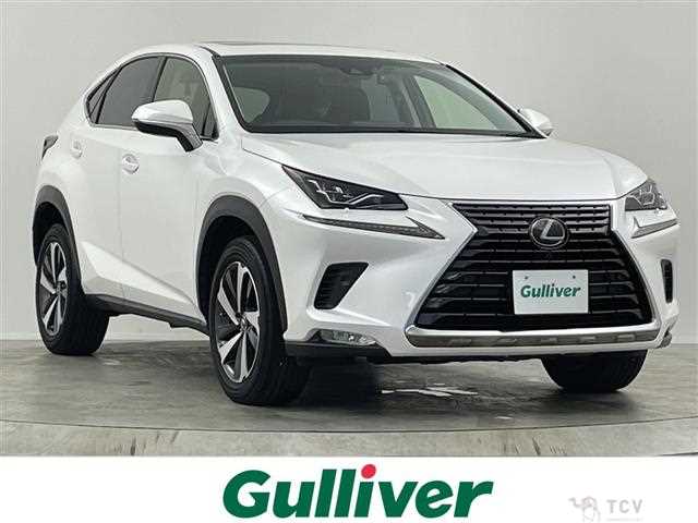2018 Lexus NX