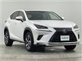 2018 Lexus NX