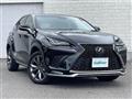 2018 Lexus NX