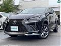 2018 Lexus NX