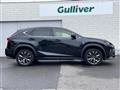 2018 Lexus NX