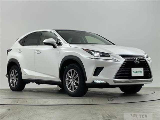 2020 Lexus NX