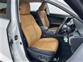 2020 Lexus NX