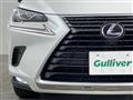 2020 Lexus NX