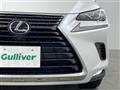 2020 Lexus NX