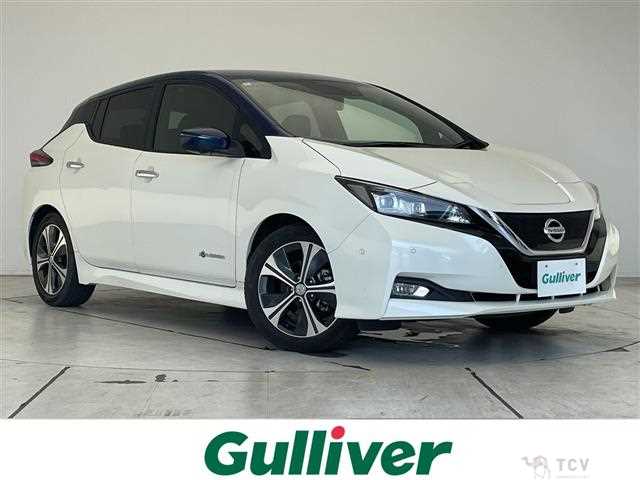 2018 Nissan Leaf