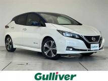 2018 Nissan Leaf