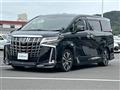 2019 Toyota Alphard