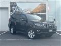 2019 Toyota Land Cruiser Prado