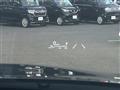 2022 Toyota Harrier Hybrid