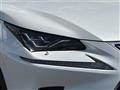 2018 Lexus NX